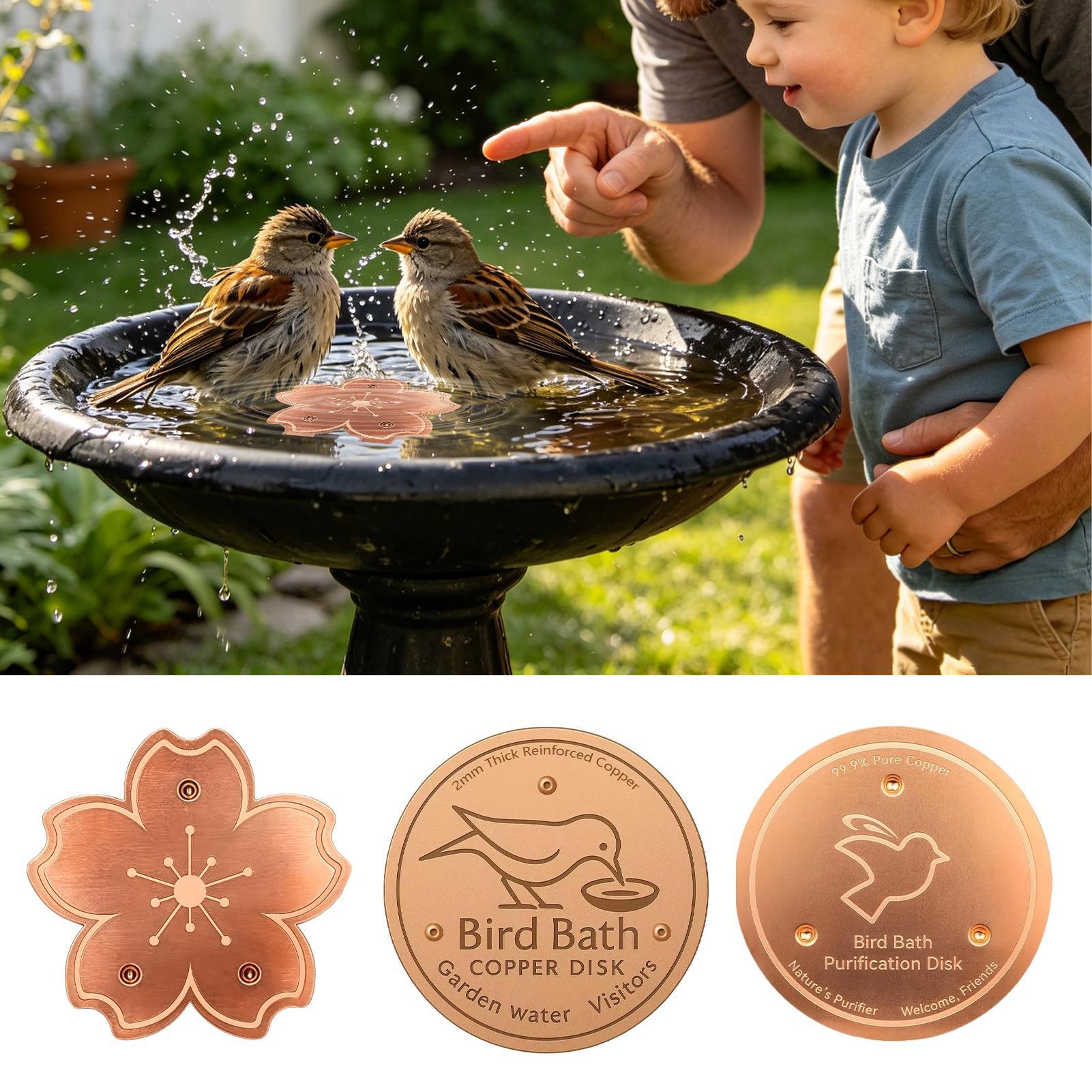 Plaque de purification en cuiv - Watches & Jewelry Tsukiu avis et prix